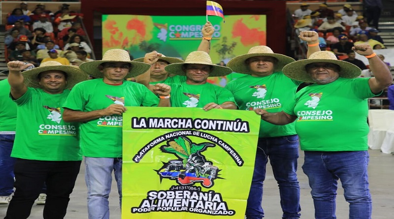 Consejos Campesinos elegirá el 6-Sep sus vocerías para el desarrollo agrícola